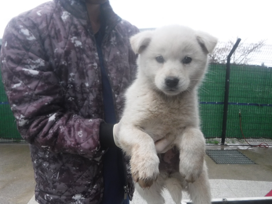 제주 동물보호센터_450650202300902