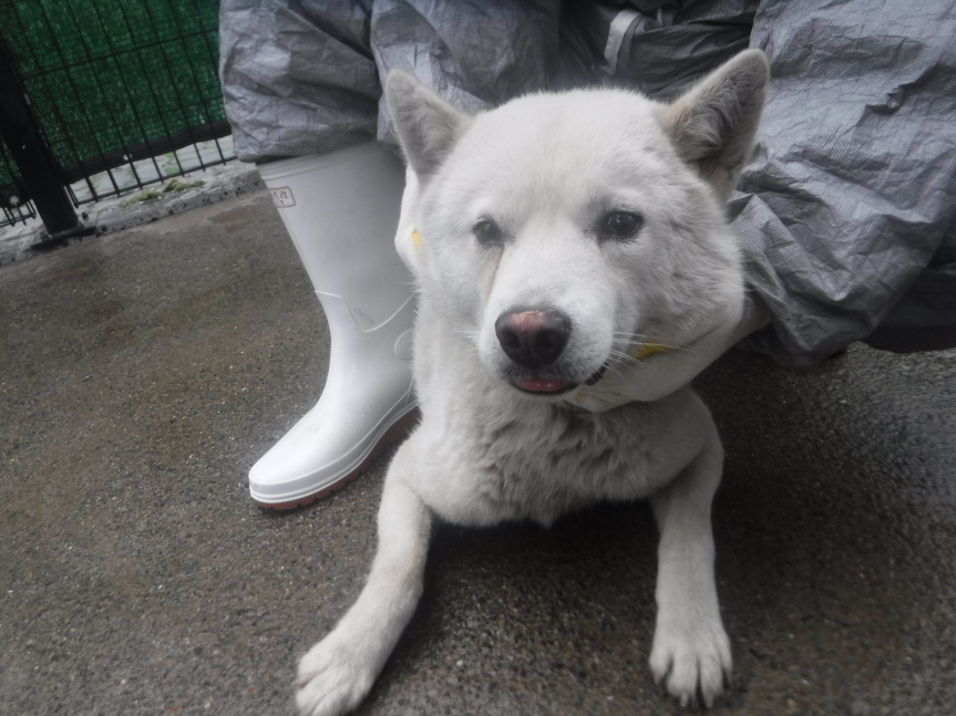 제주 동물보호센터_450650202300899