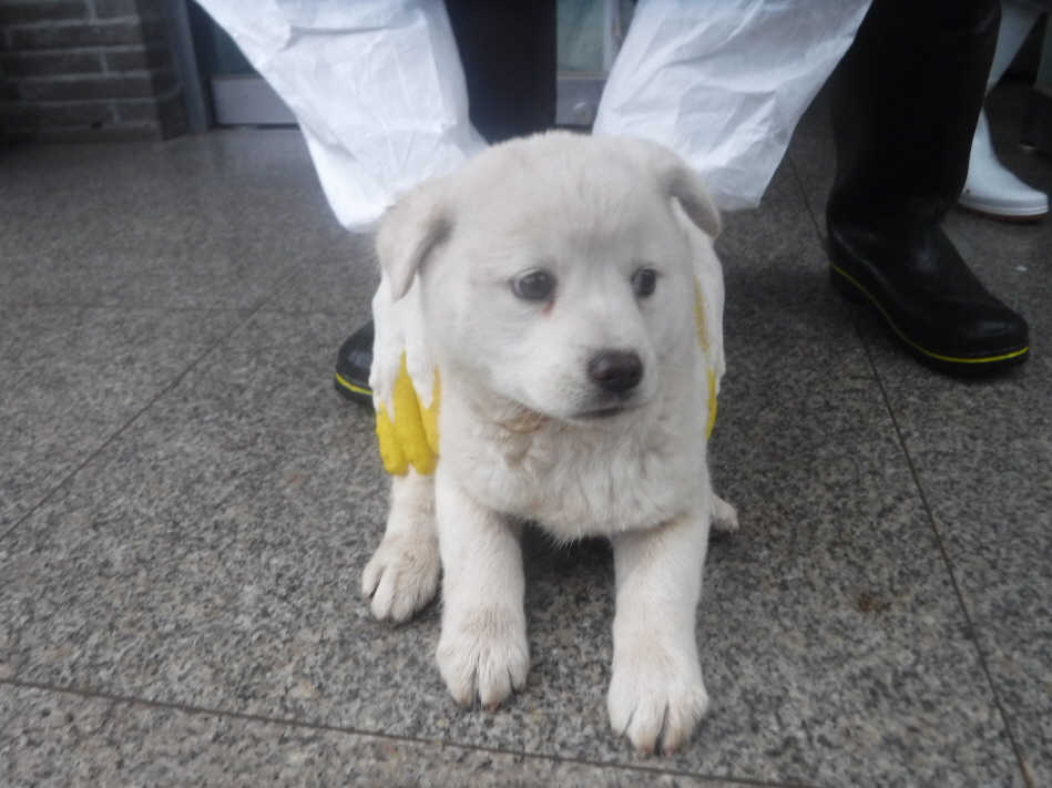 제주 동물보호센터_450650202300900