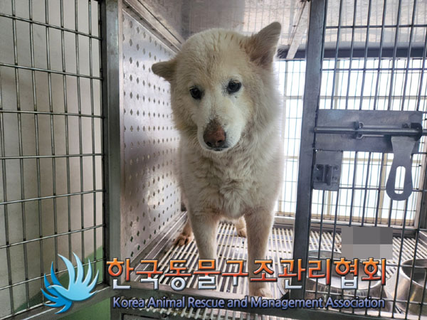 한국동물구조관리협회_441559202300113