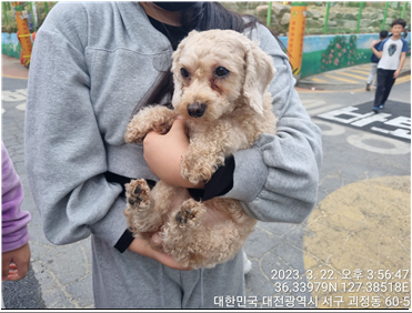 대전동물보호센터_430366202300075