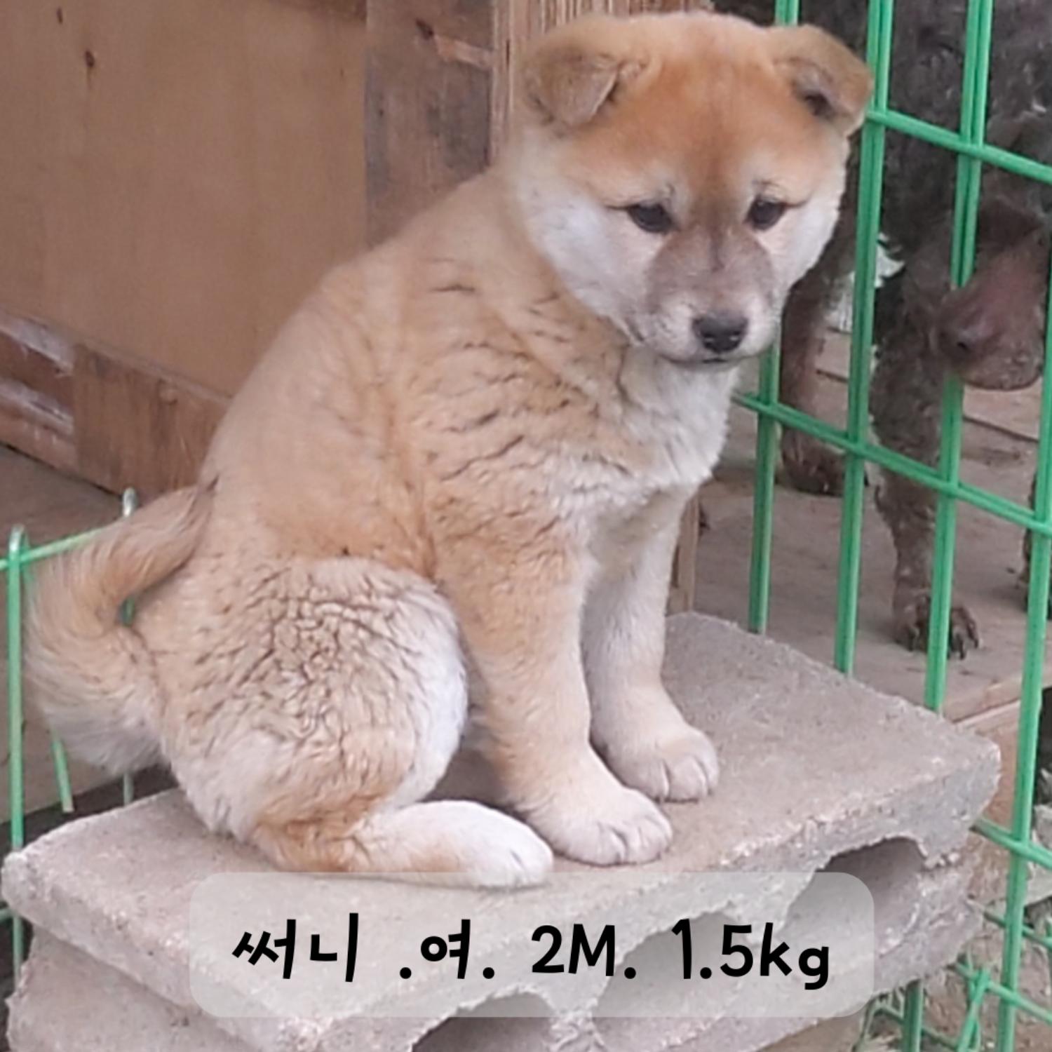 장성군동물보호센터_446498202300102