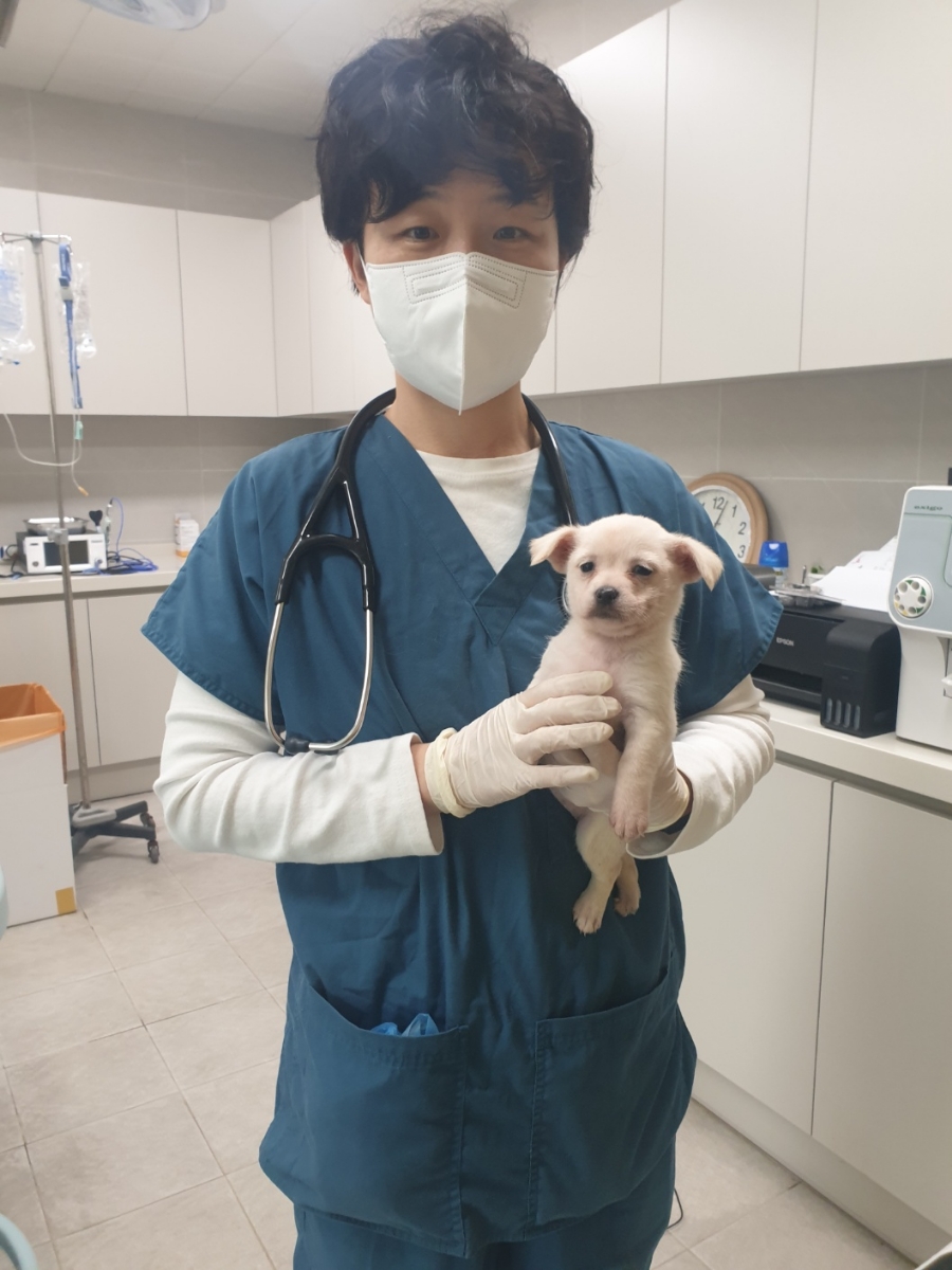 양평군유기동물보호소_441417202300112