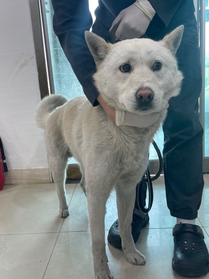 반려동물보호센터_443571202300550