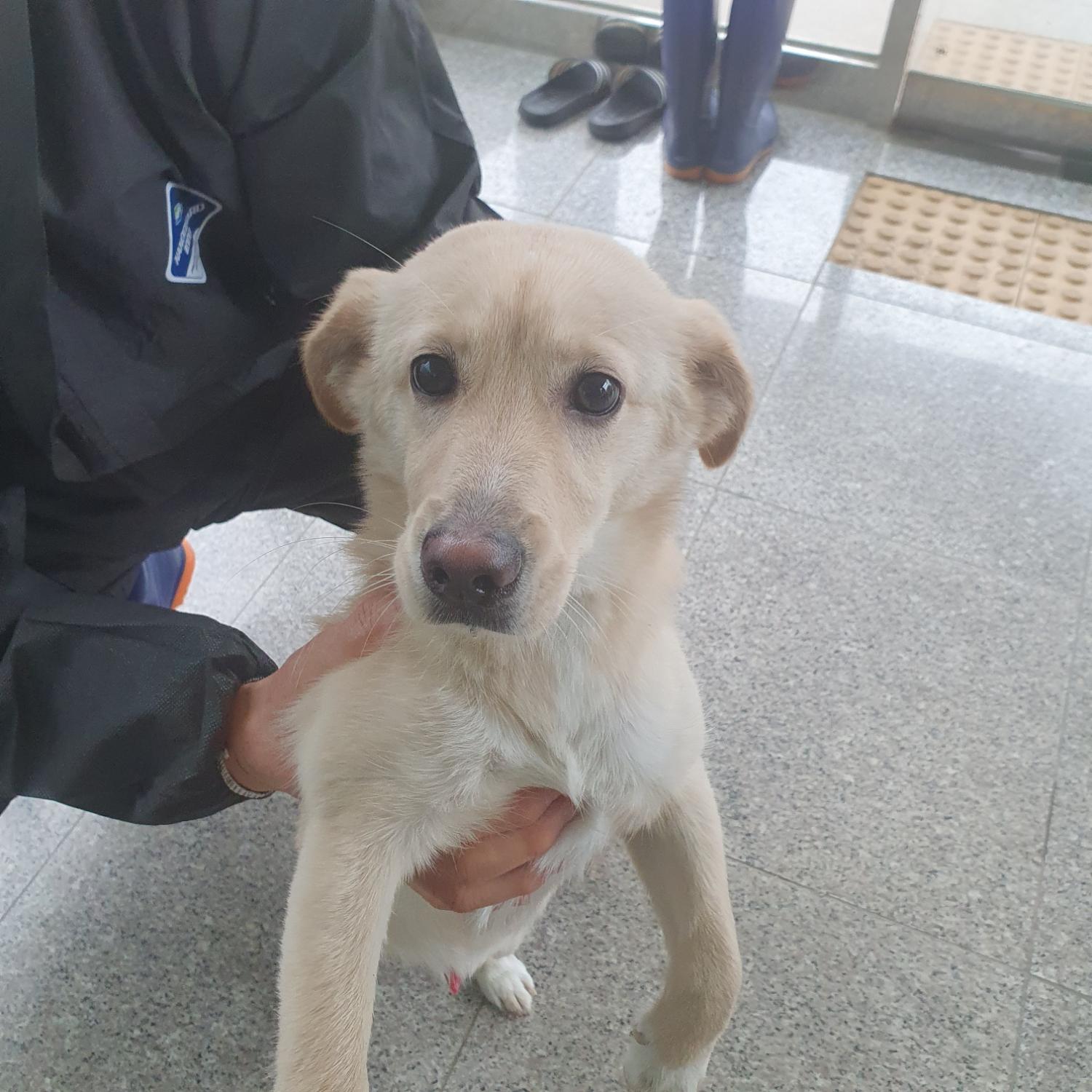 구미시 동물보호센터_447508202300588