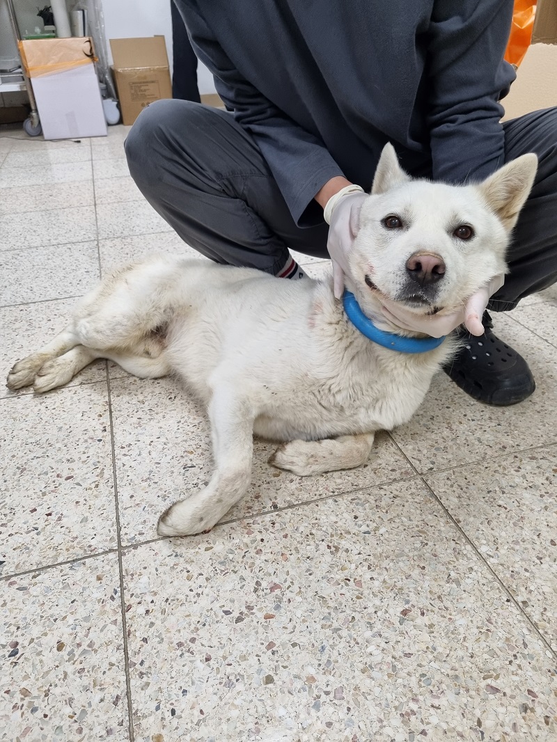반려동물보호센터_443571202300560