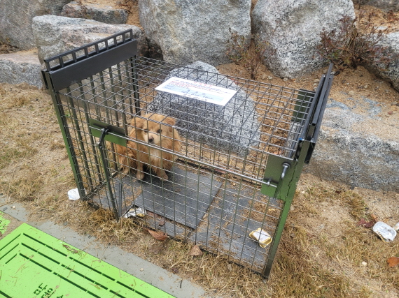 청원동물병원_445470202300238