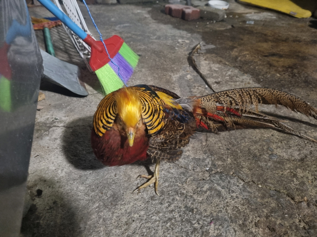 프렌즈동물병원_445464202301246