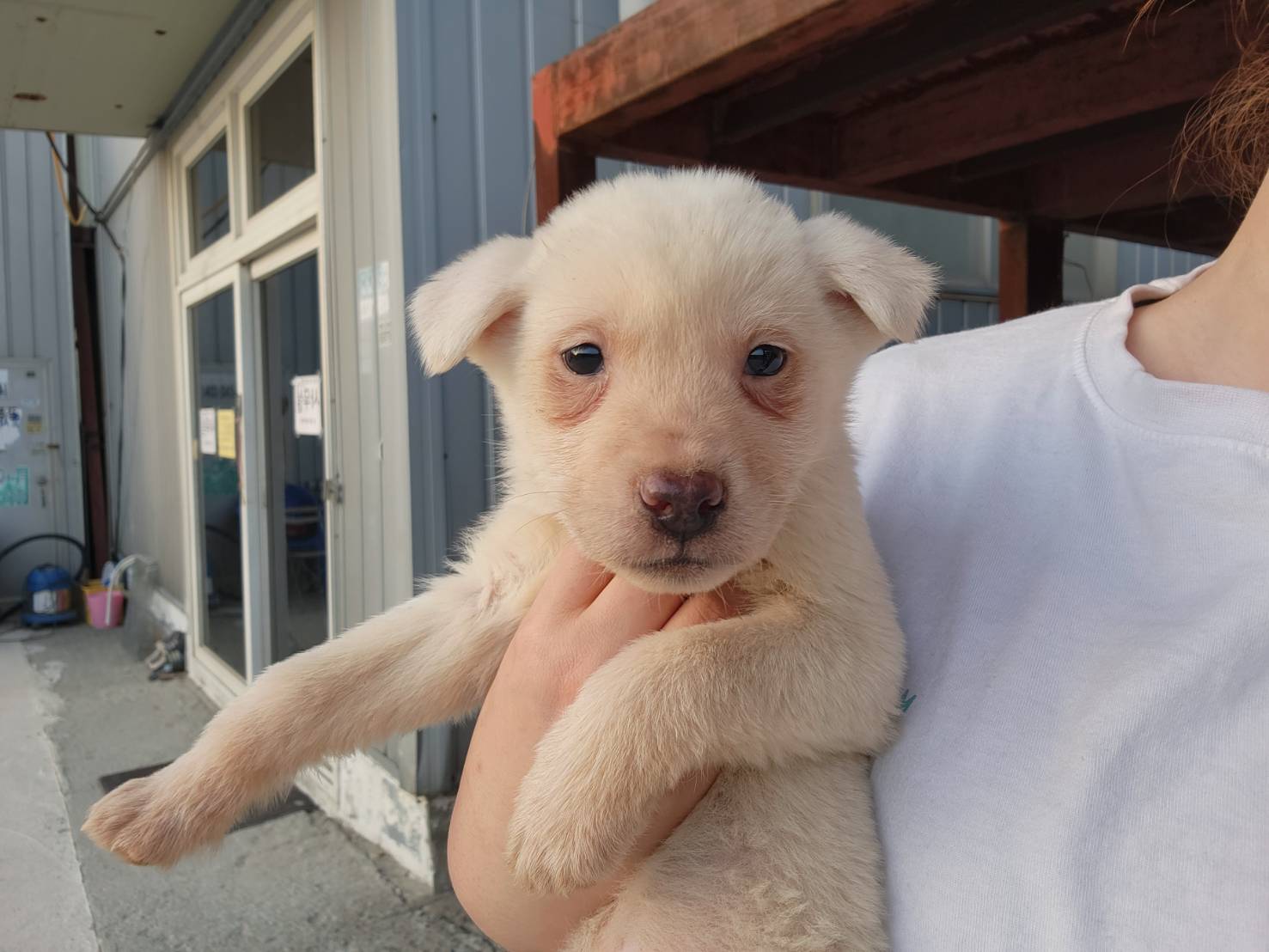 한국야생동물보호협회_441390202300037