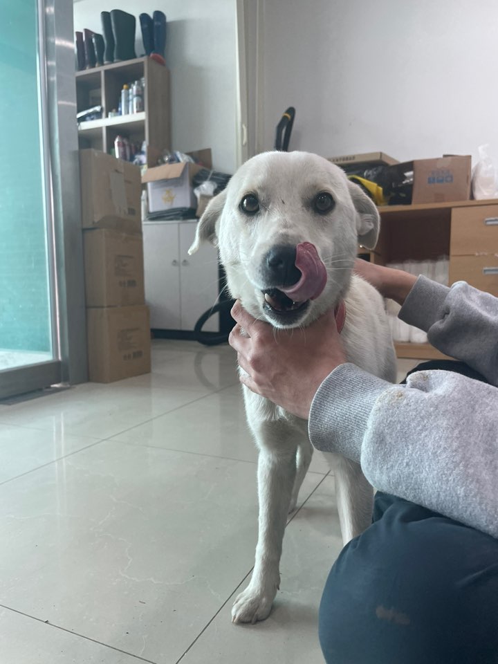반려동물보호센터_443571202300608
