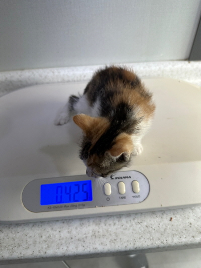 누리동물병원_426331202300055