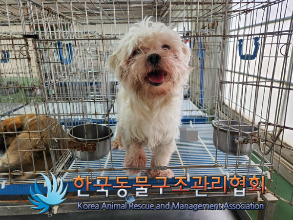 한국동물구조관리협회_441398202300062