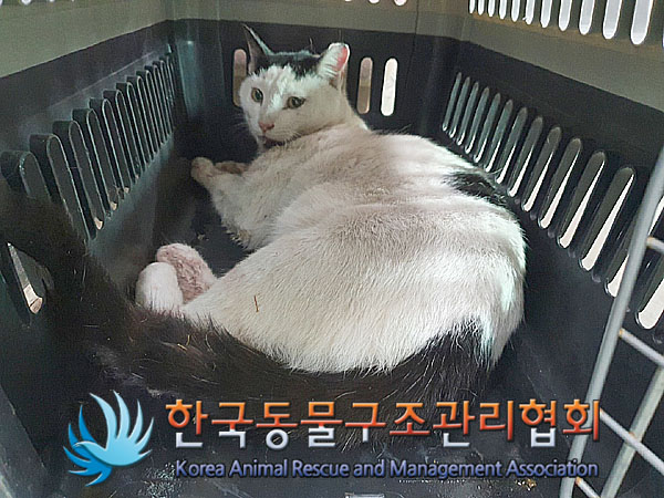 한국동물구조관리협회_411311202300146