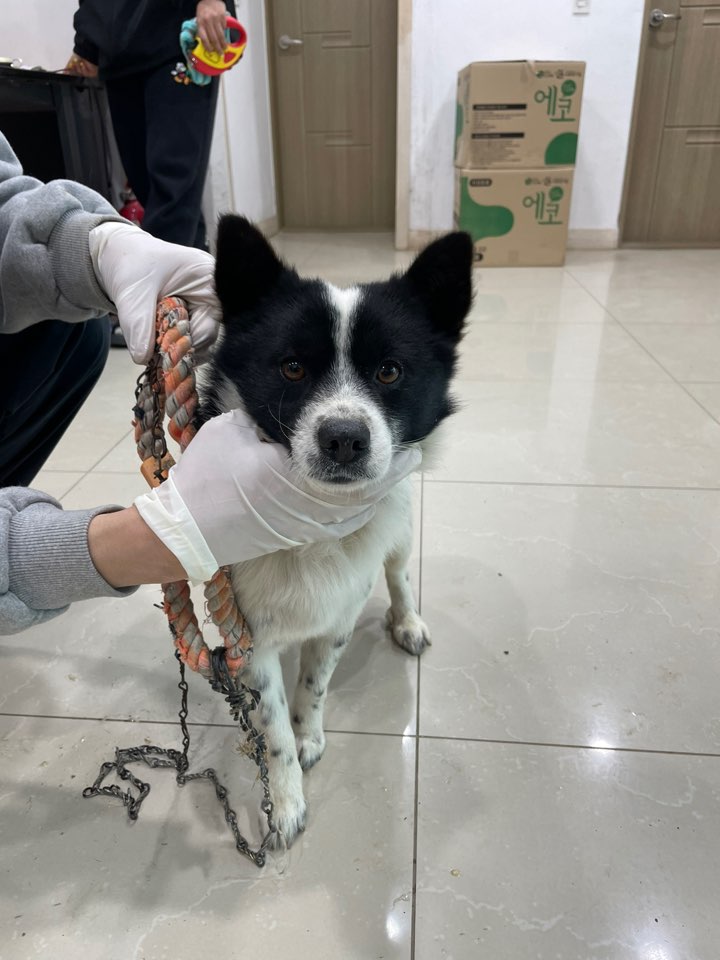 반려동물보호센터_443571202300610