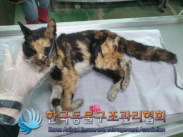 종료(자연사) 한국…