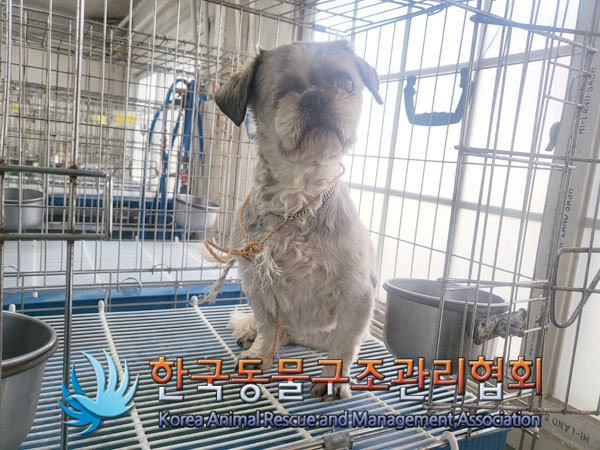 한국동물구조관리협회_441559202300117