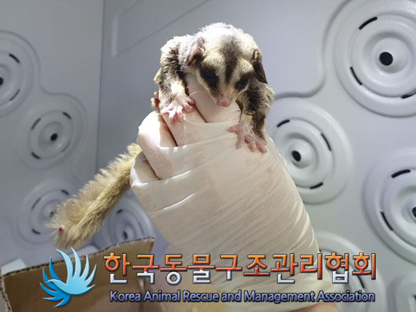 종료(자연사) 슈가…