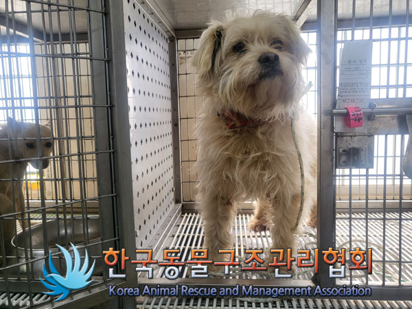 한국동물구조관리협회_441409202300320