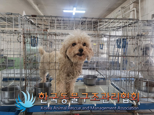 한국동물구조관리협회_441559202300116