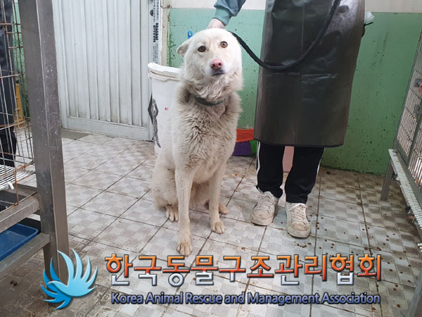 한국동물구조관리협회_441560202300276