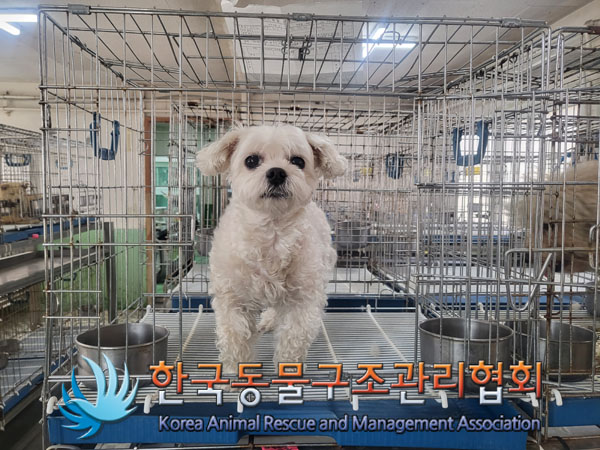 한국동물구조관리협회_441409202300319