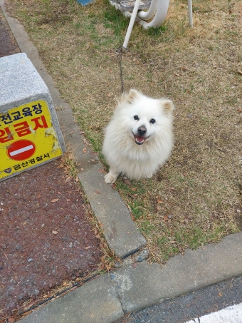월드동물병원_444455202300084