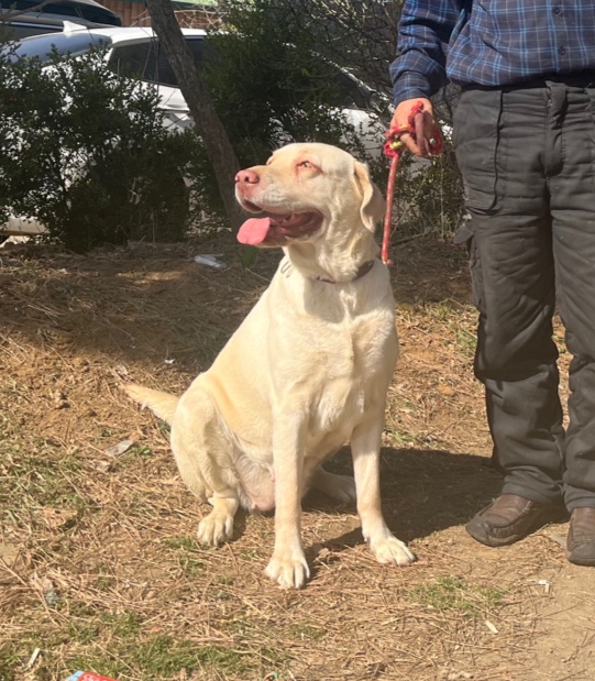 인천광역시수의사회_428351202300187