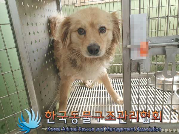 한국동물구조관리협회_411323202300091