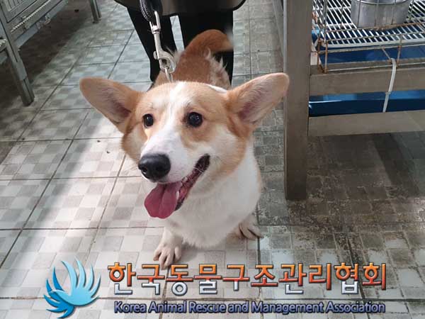 한국동물구조관리협회_411312202300142