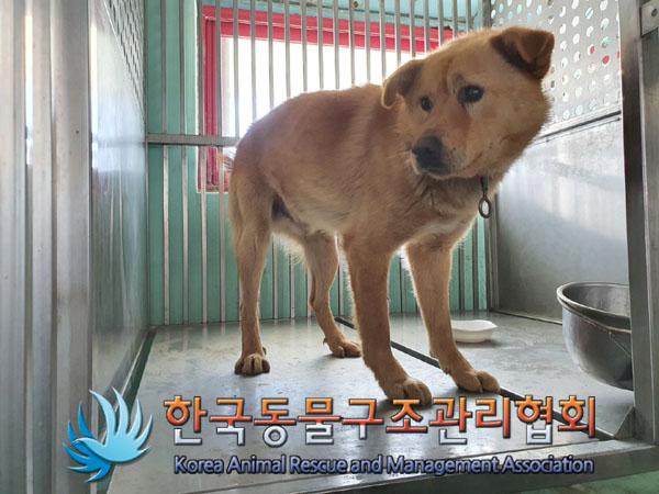 한국동물구조관리협회_441414202300154