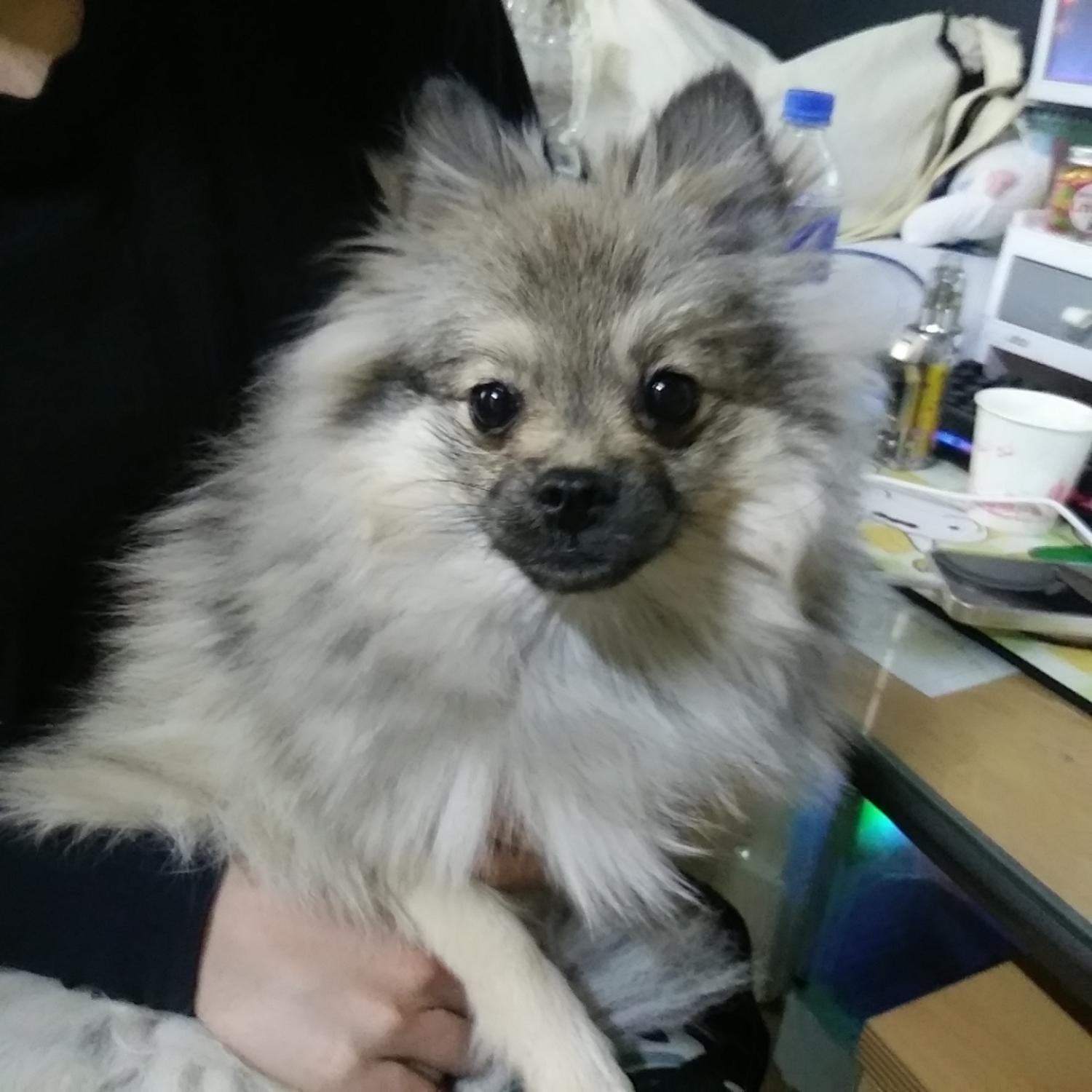 인천광역시수의사회_428351202300188