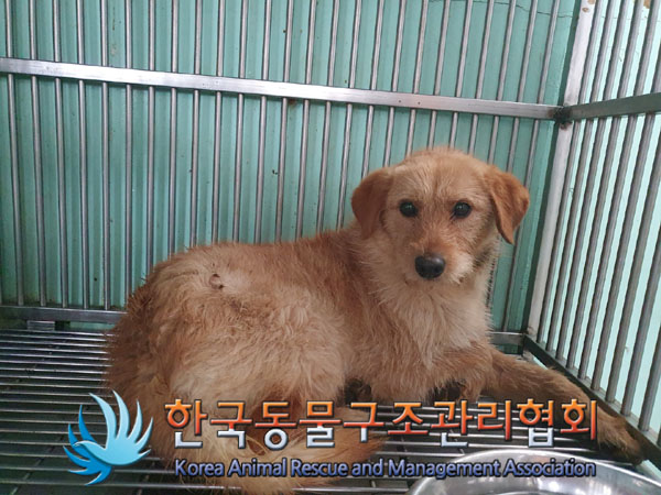 한국동물구조관리협회_441414202300157