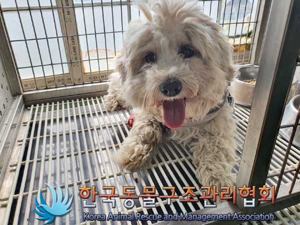 한국동물구조관리협회_411323202300092