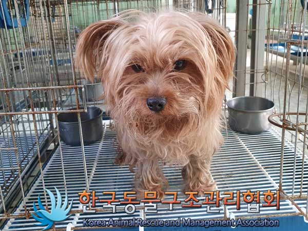 한국동물구조관리협회_411305202300079