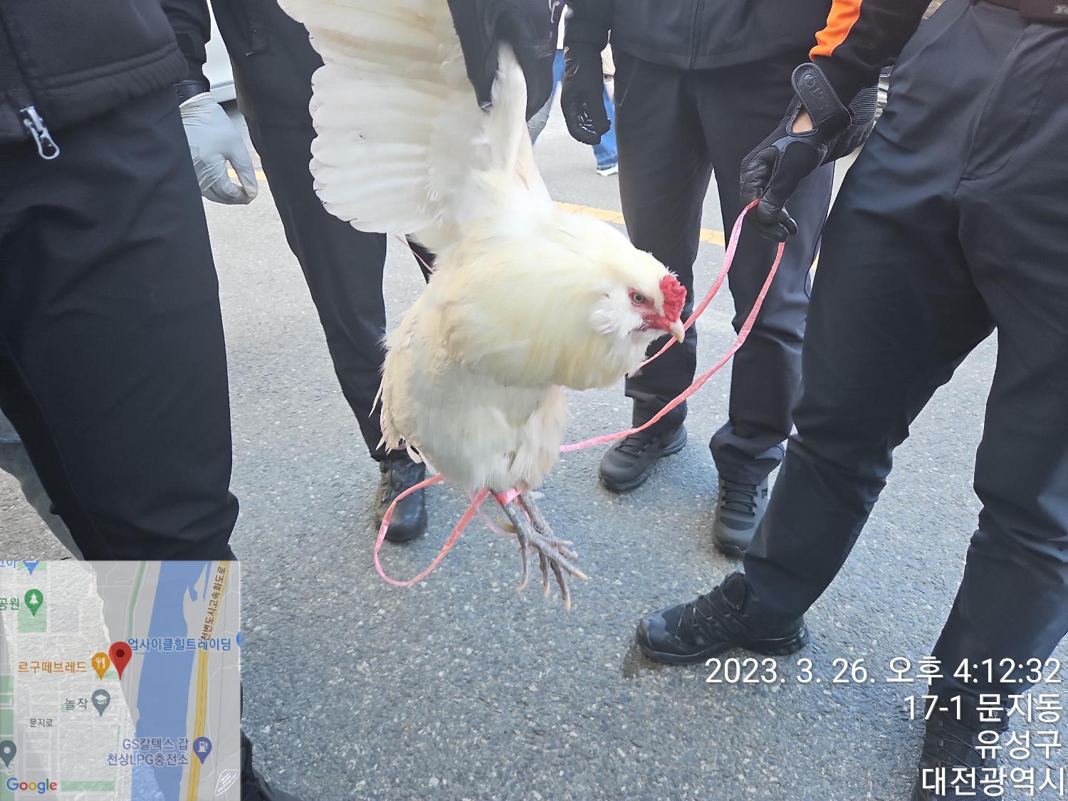 대전동물보호센터_430367202300079