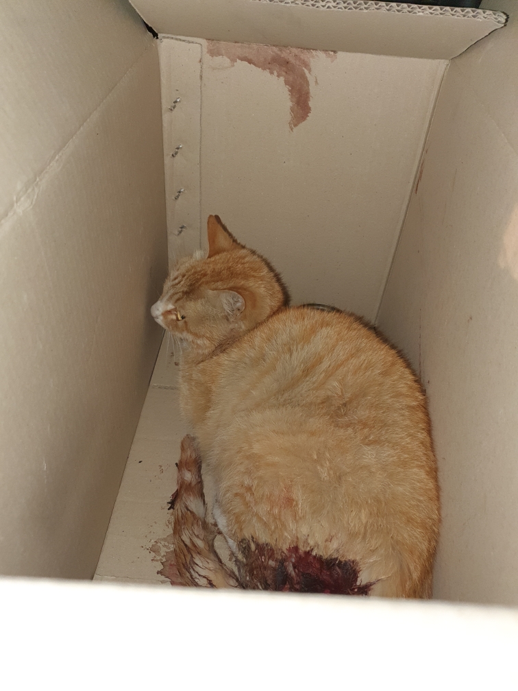 최종주동물병원_443444202300149