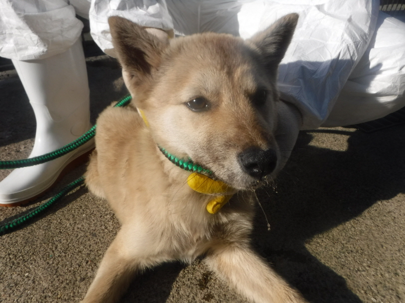 제주 동물보호센터_450650202300994