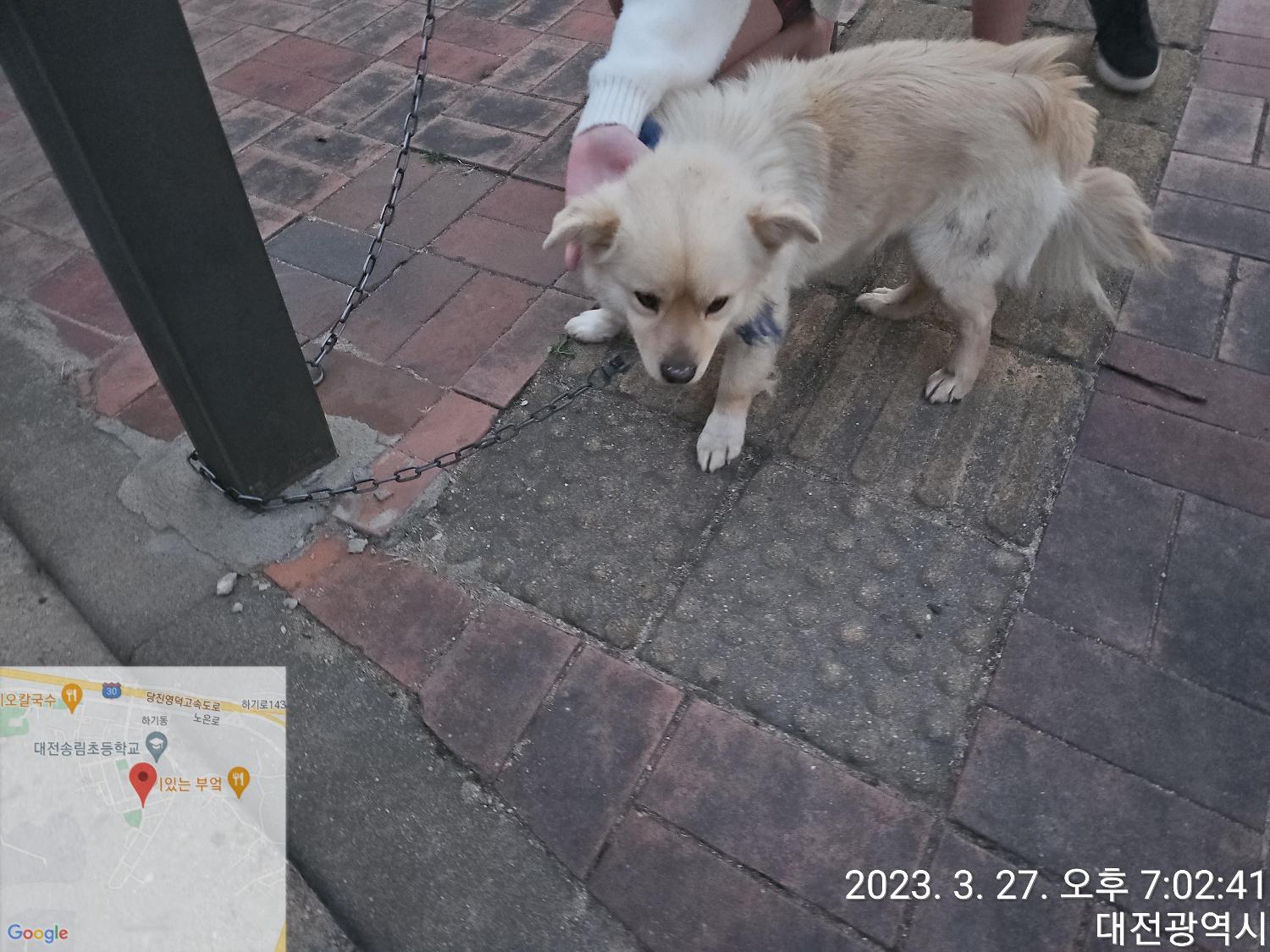 대전동물보호센터_430367202300082