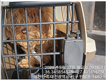 대전동물보호센터_430366202300141