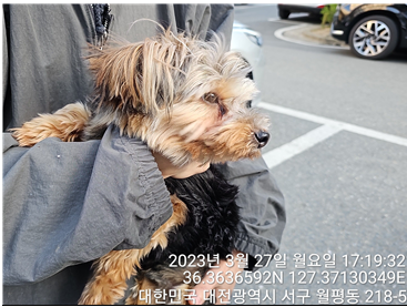 대전동물보호센터_430366202300143