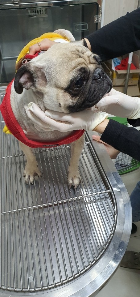 태백유기동물_442422202300112