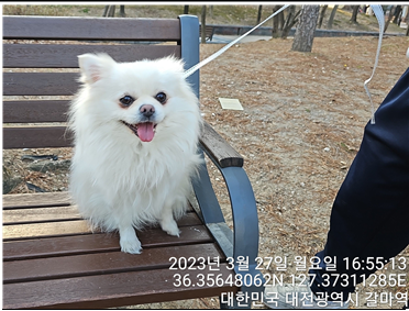 대전동물보호센터_430366202300142