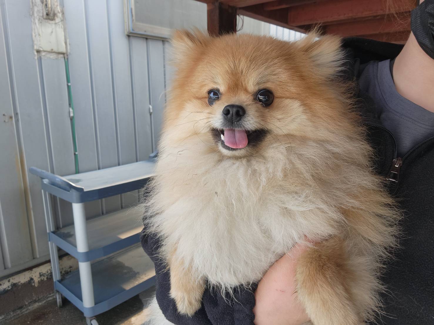 한국야생동물보호협회_441393202300409