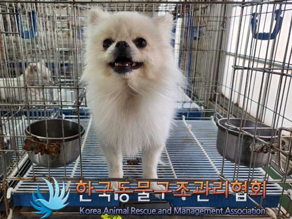 한국동물구조관리협회_441559202300120