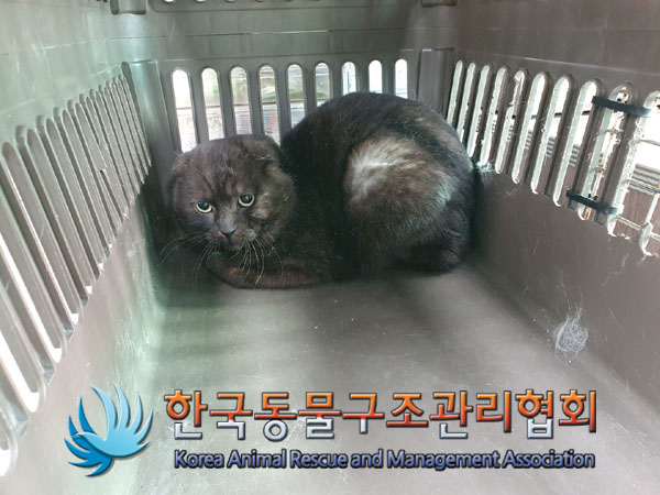 한국동물구조관리협회_441560202300281