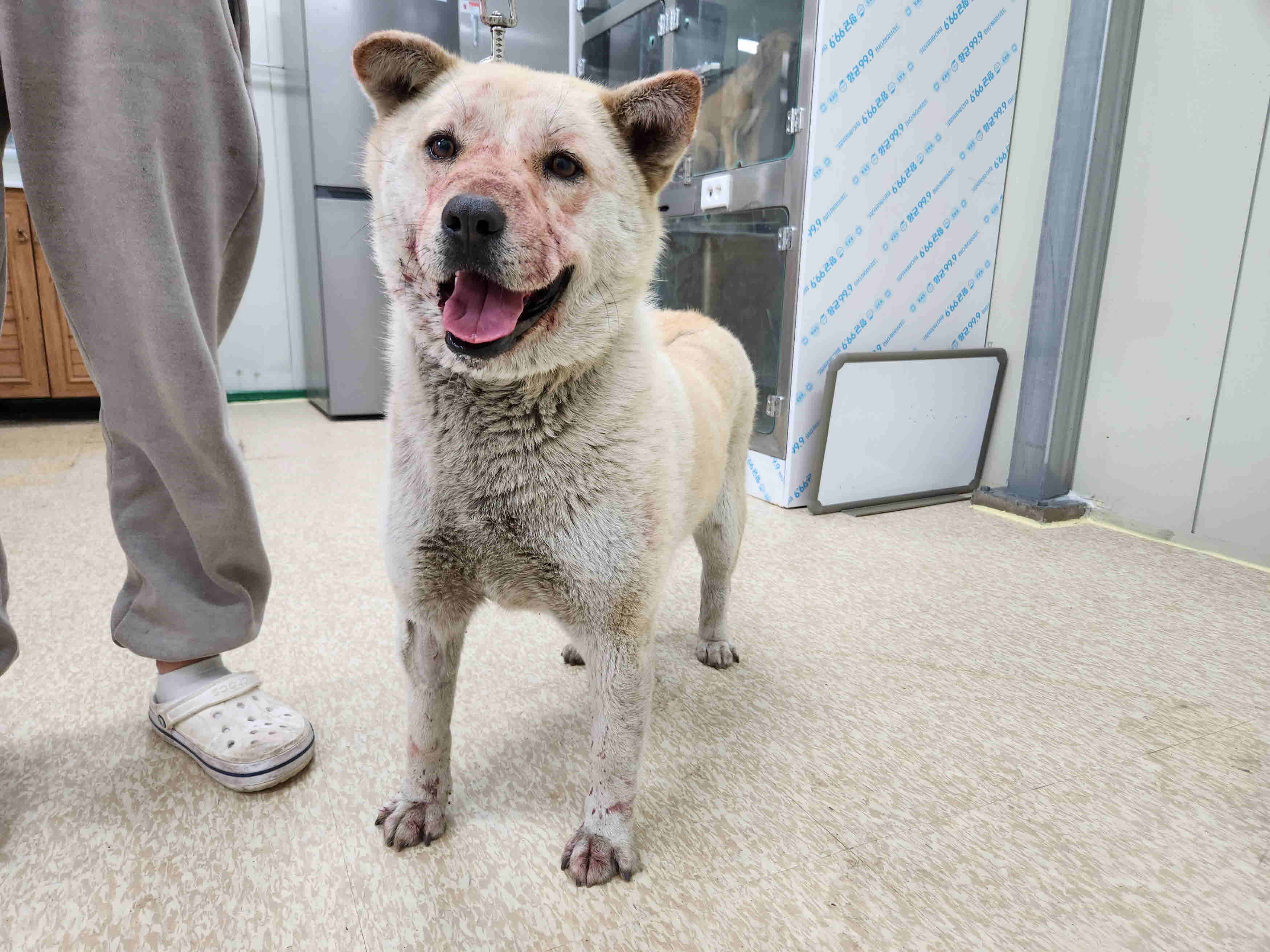 남양주시동물보호센터_441399202300486