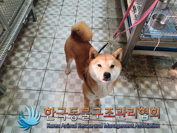 한국동물구조관리협회_441406202300338