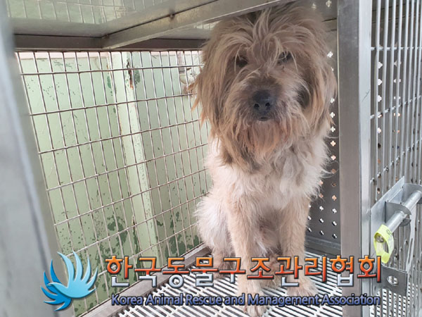 한국동물구조관리협회_441559202300121