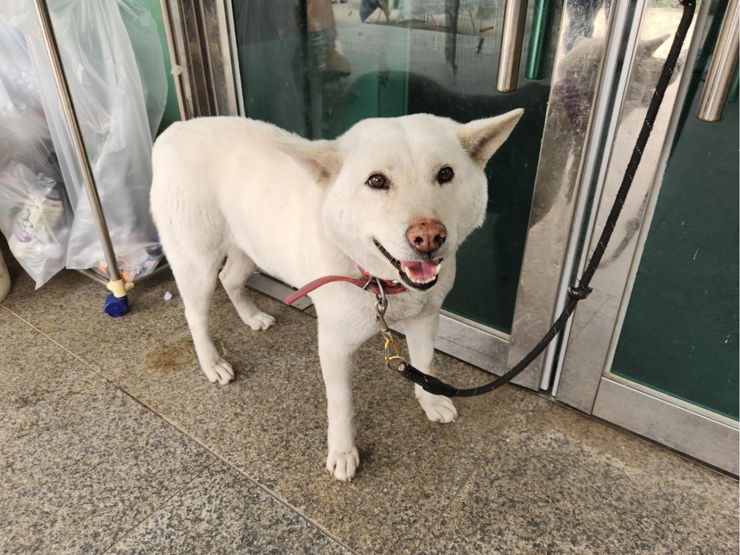 광주 동물보호소_429363202300142