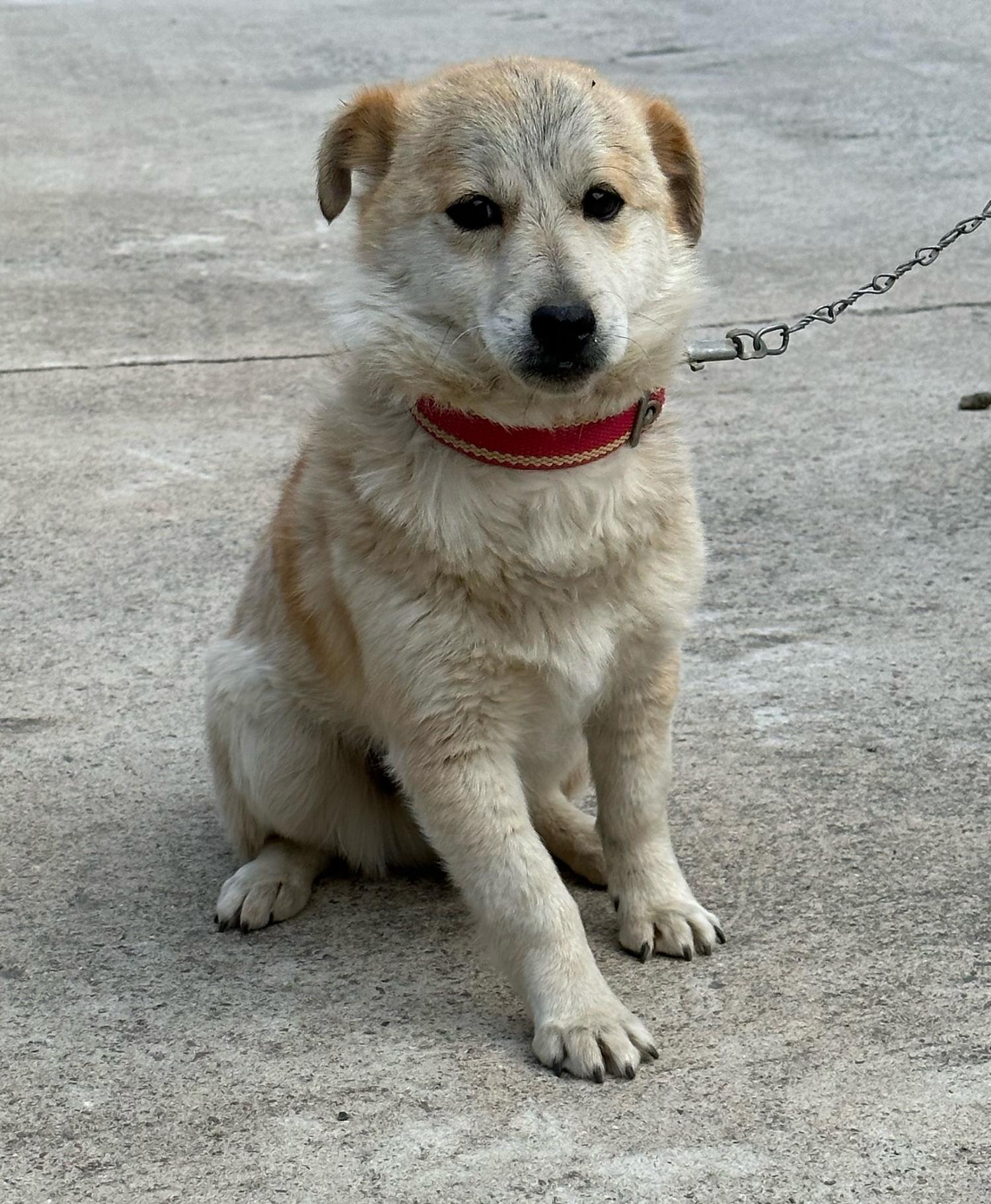 울진군동물보호센터_447525202300109